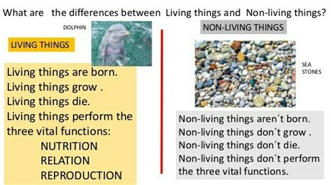 similarities between living and nonliving things|Comparison of Living and Non.